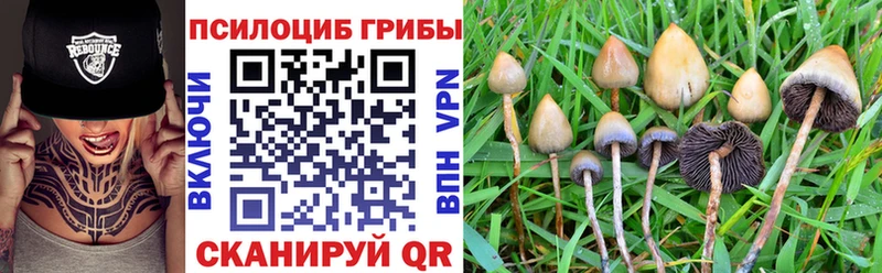 Псилоцибиновые грибы Psilocybine cubensis  Уфа 