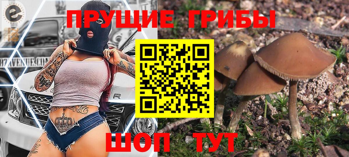 Уфа  Псилоцибиновые грибы прущие грибы  Псилоцибиновые грибы прущие грибы  Вход с VPN 